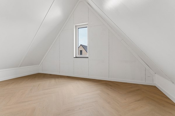 53-Moerasorchidee 13 - Lelystad.jpg